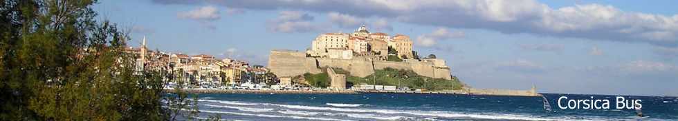 Calvi